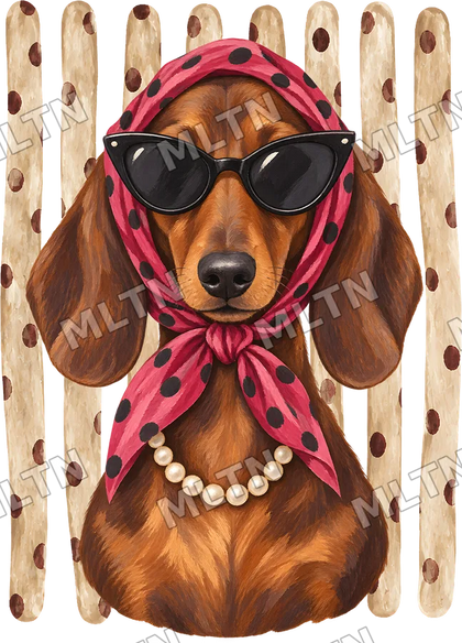 Animais Glamourosos 0001