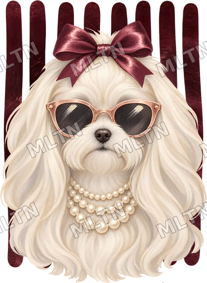 Animais Glamourosos 0006