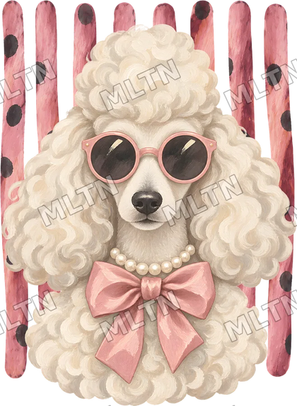 Animais Glamourosos 0007