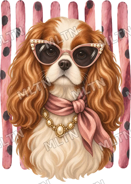 Animais Glamourosos 0018