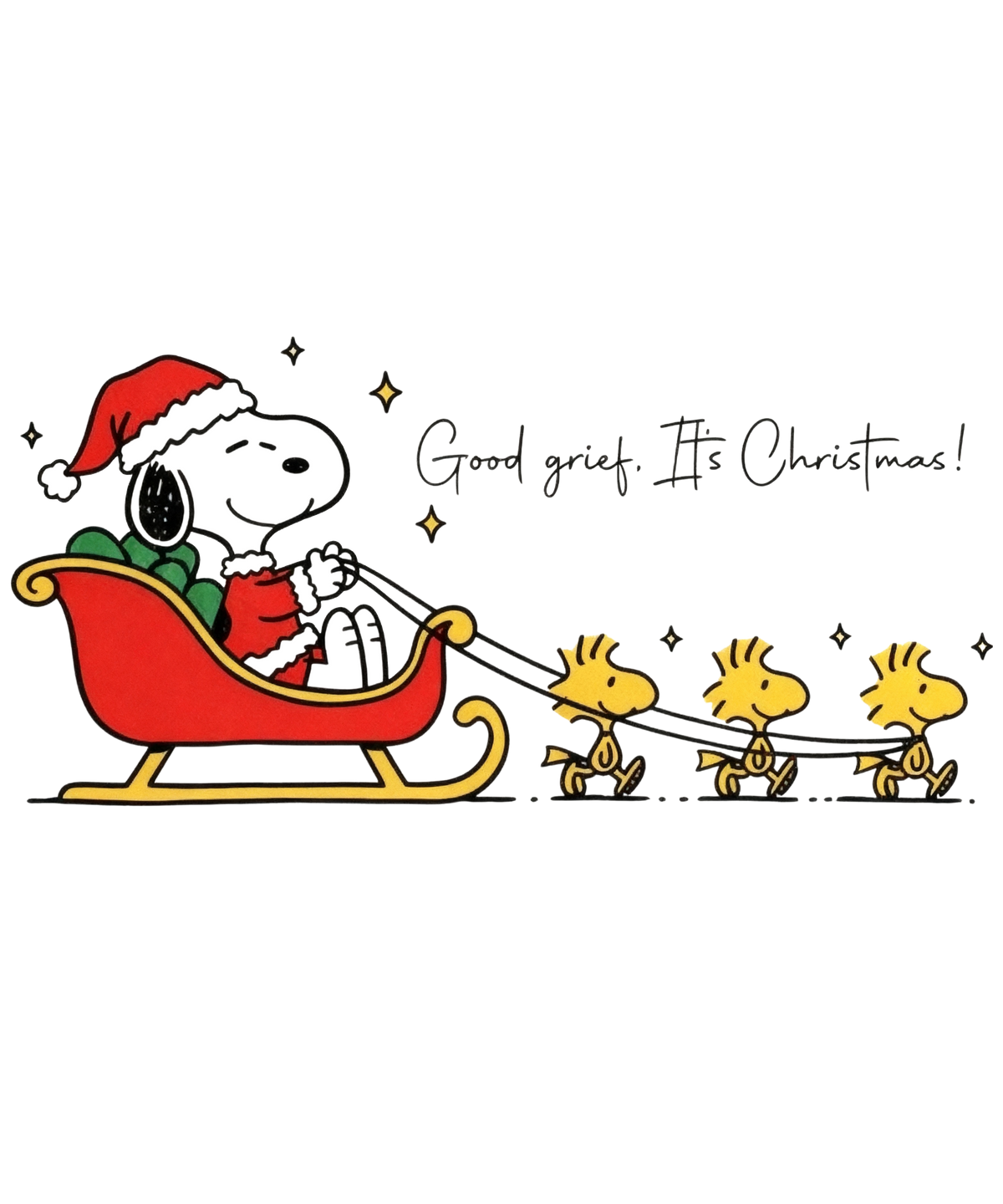 Natal Snoopy 0111