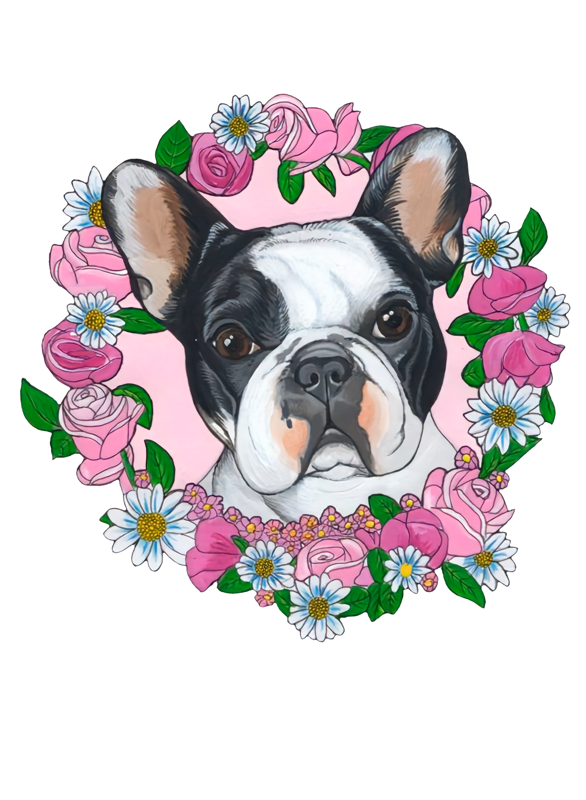 Animais & Criaturas 0067