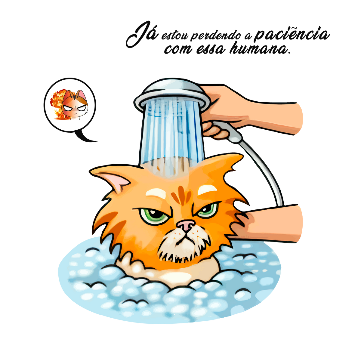 Animais & Criaturas 0073