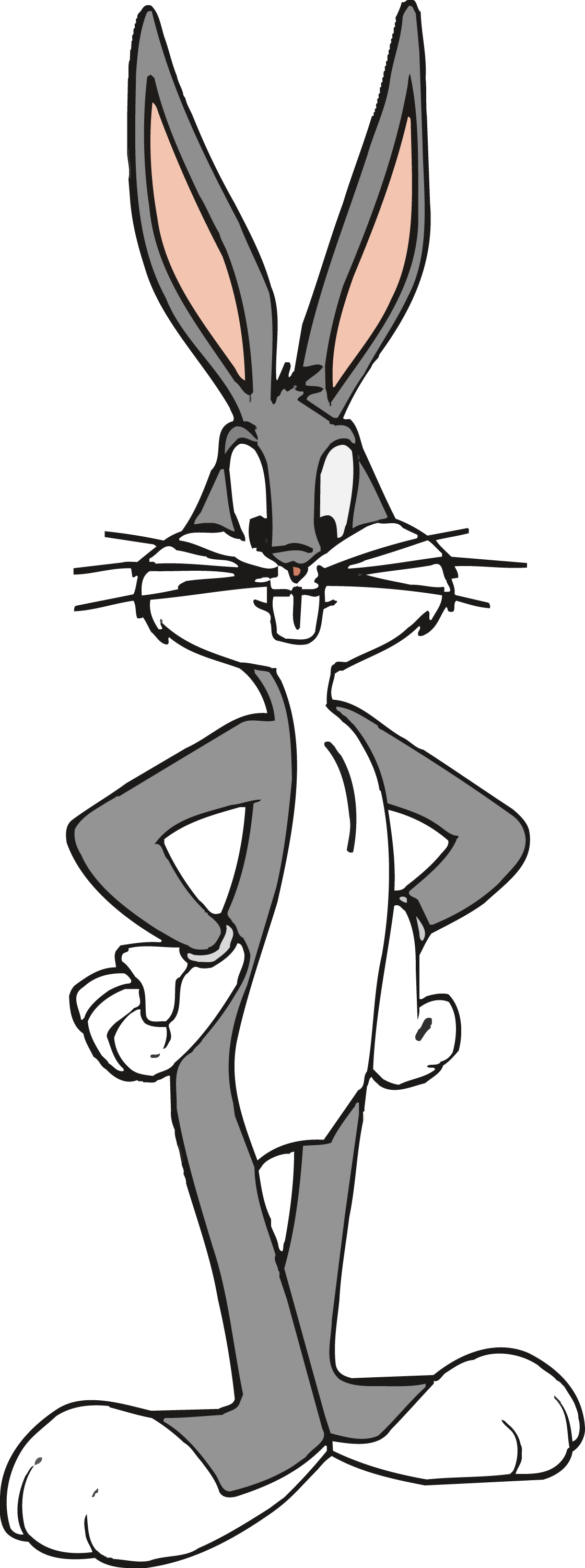 Looney Tunes 0002