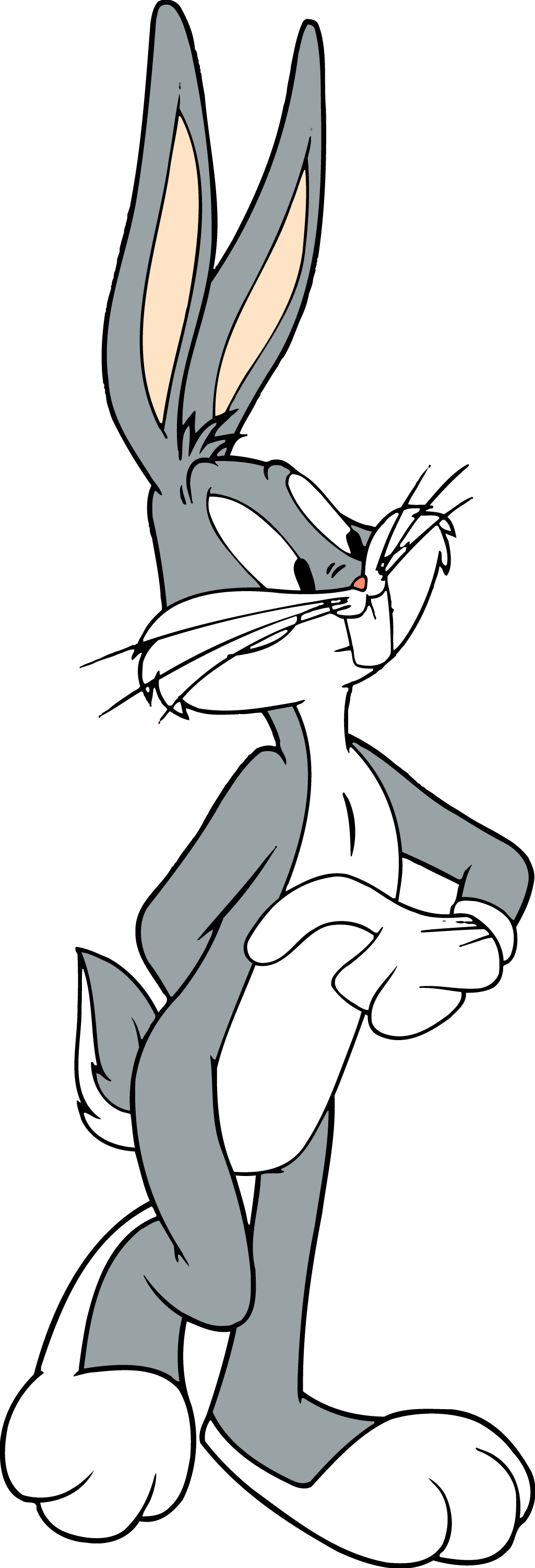 Looney Tunes 0007