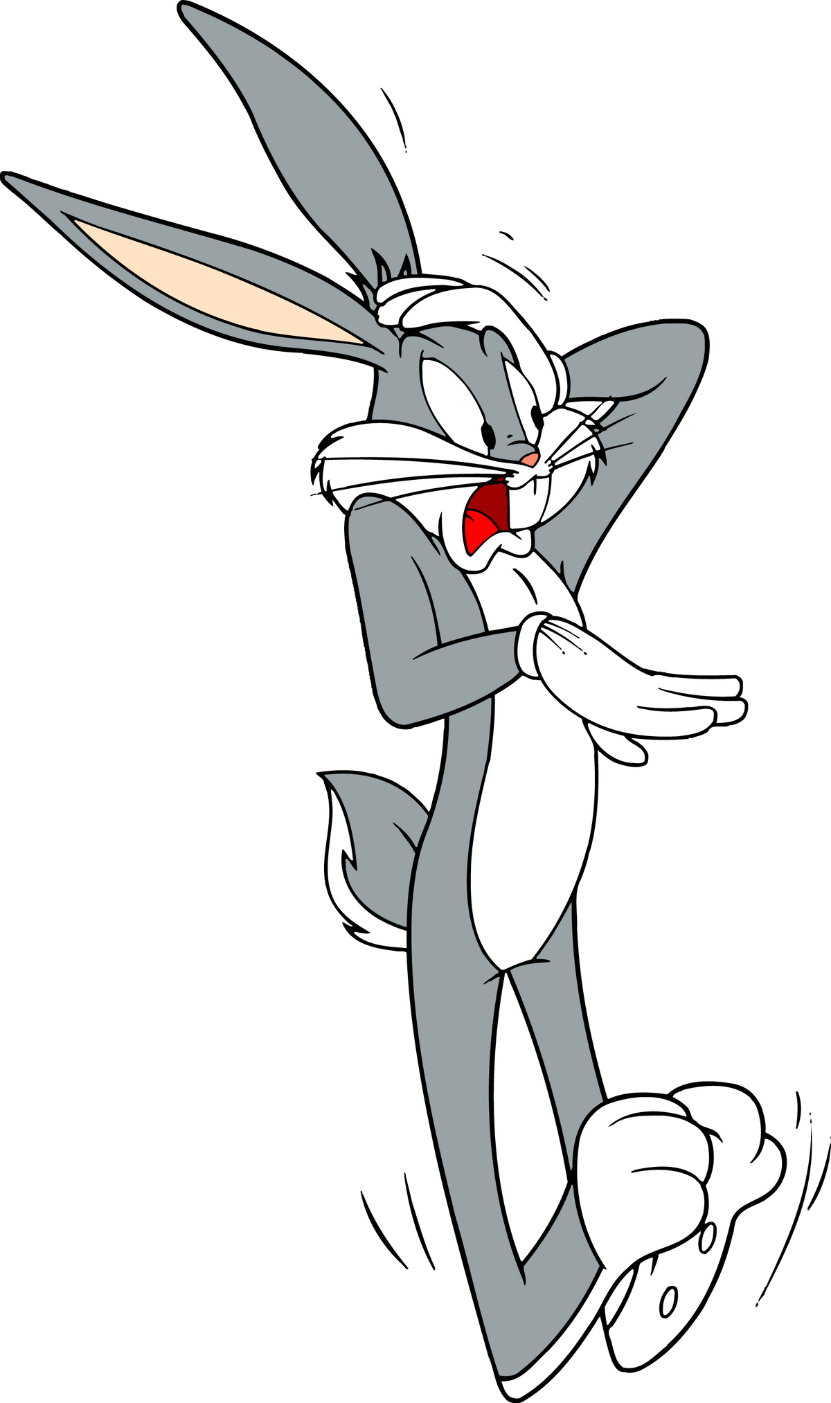 Looney Tunes 0011