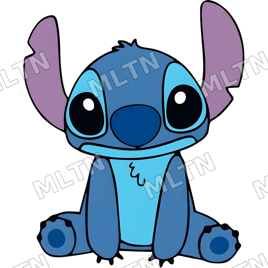 Stitch 0079