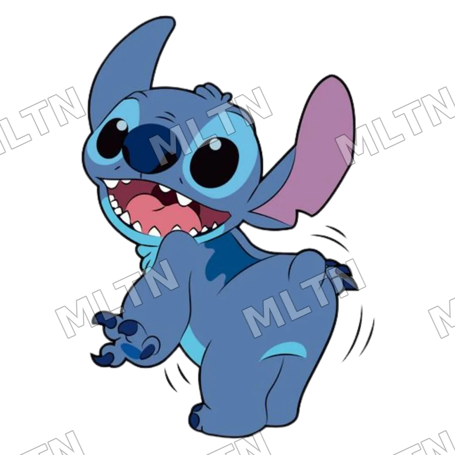 Stitch 0107