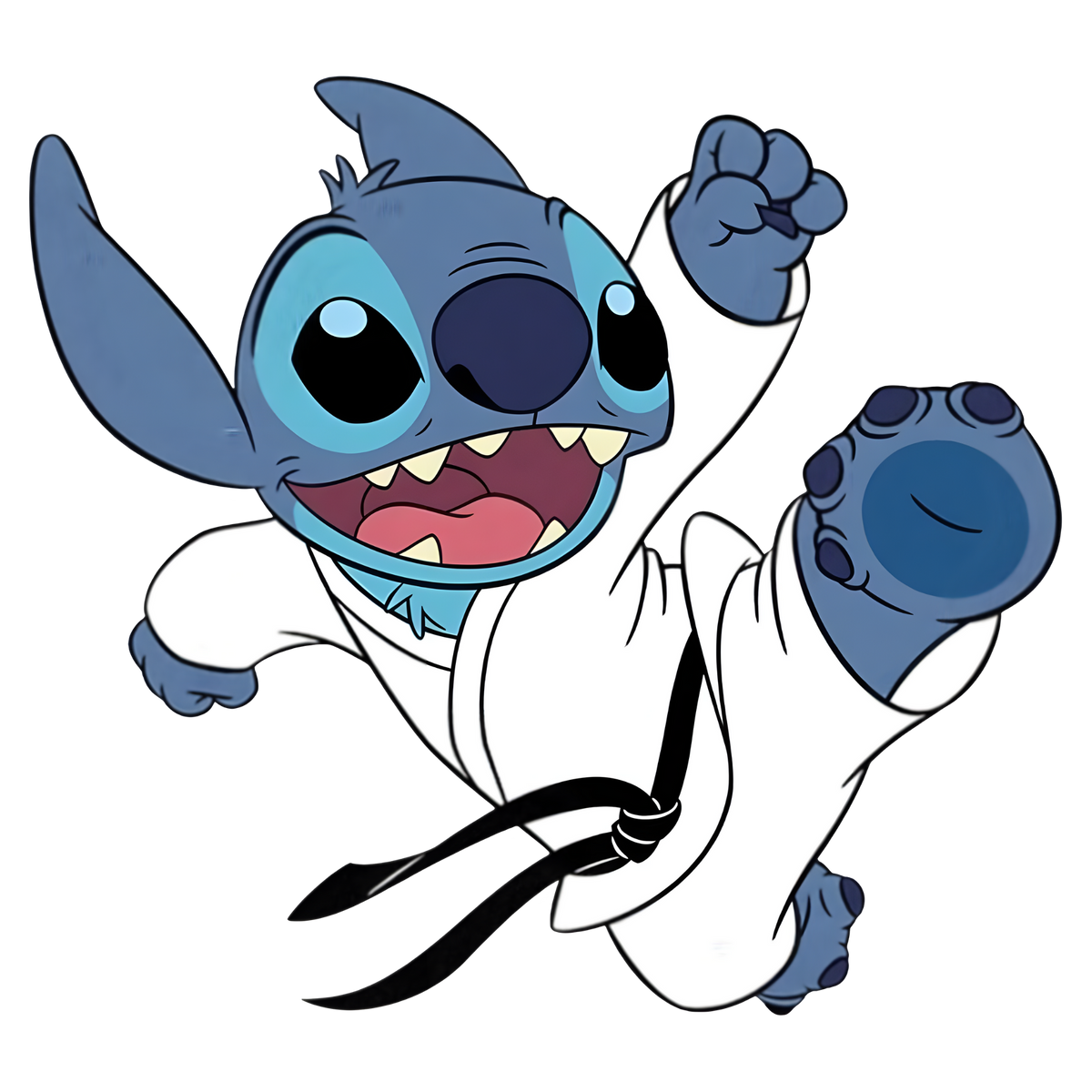 Stitch 0133