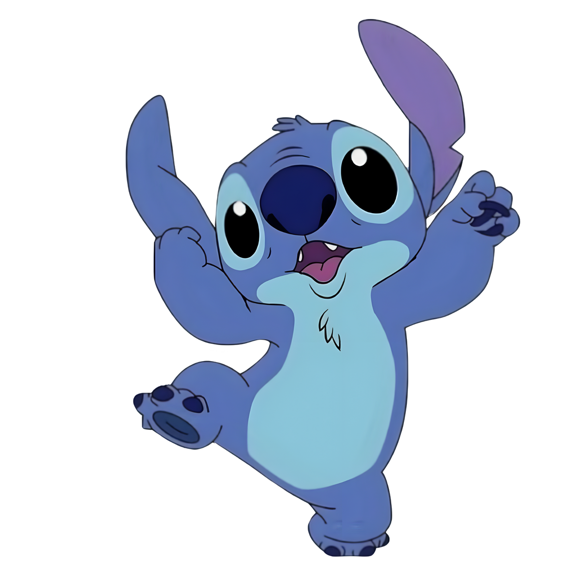 Stitch 0208