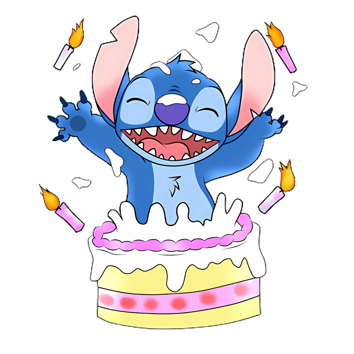 Stitch 0217