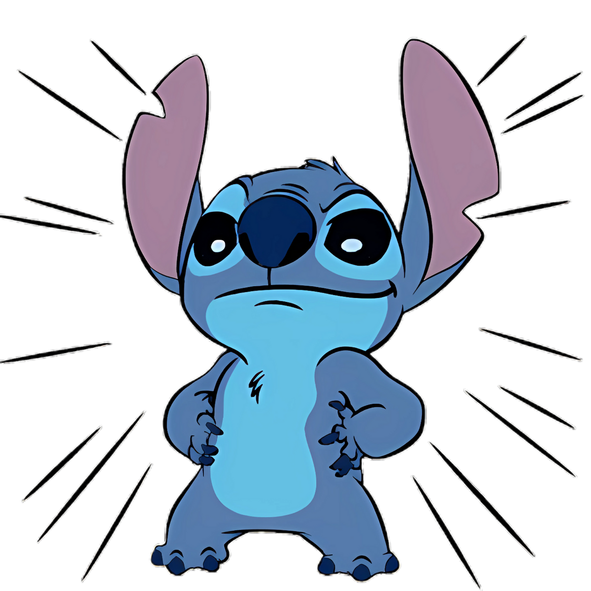Stitch 0226