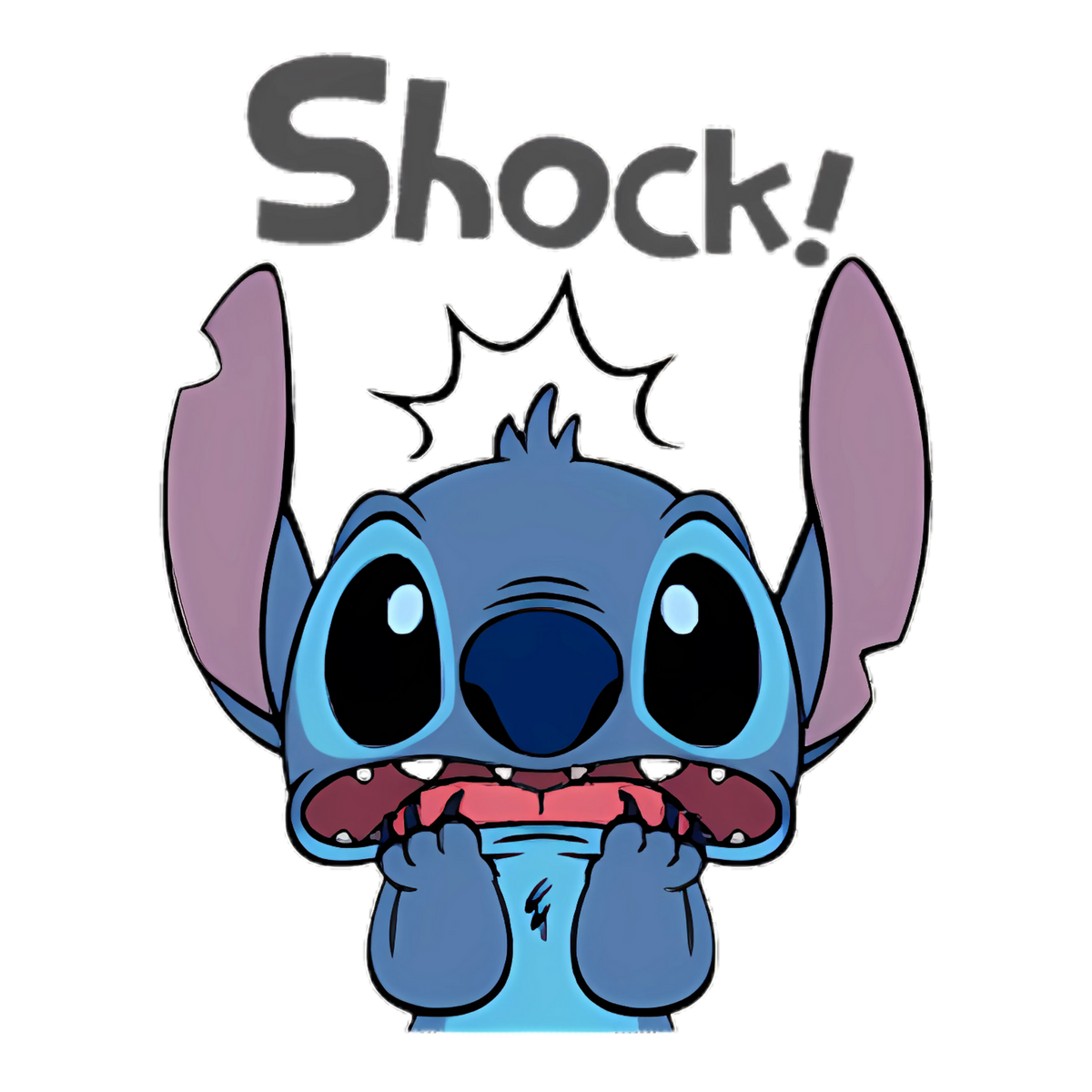 Stitch 0258