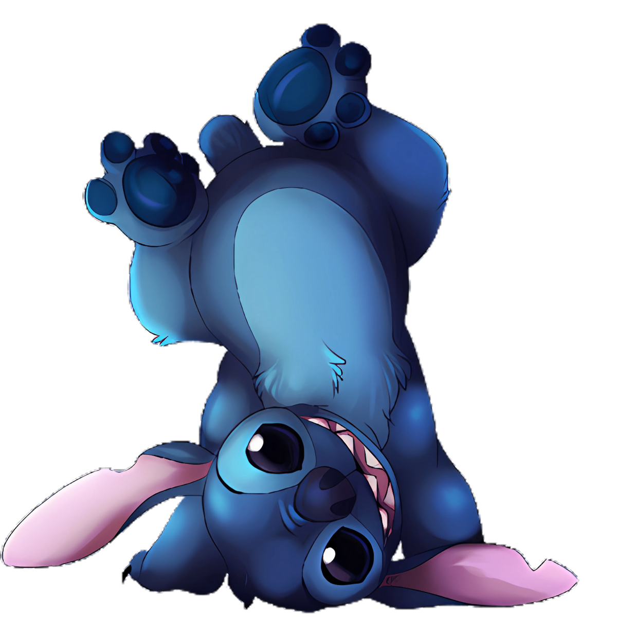 Stitch 0272