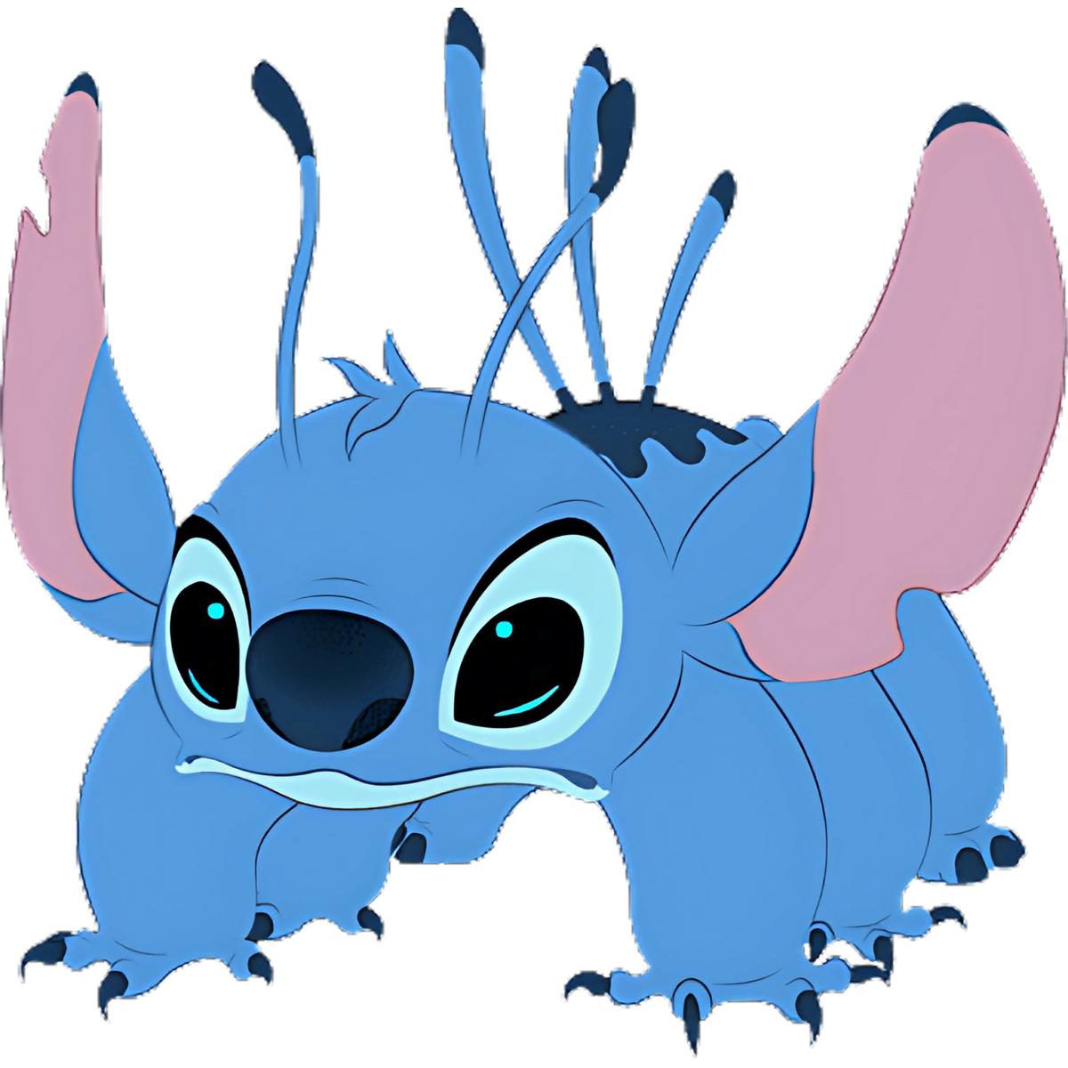 Stitch 0284