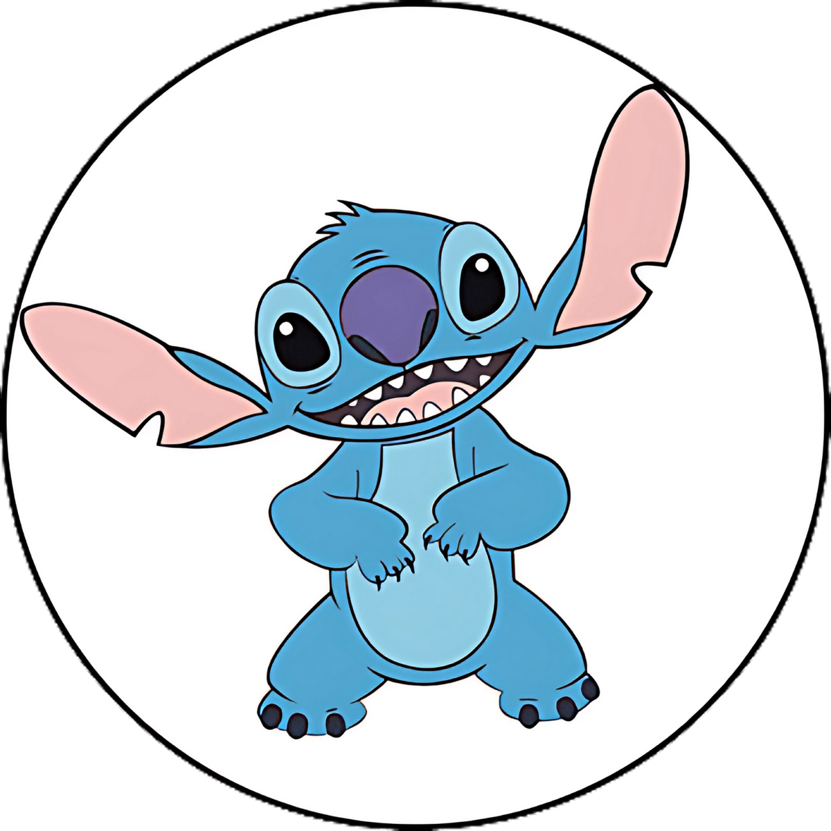 Stitch 0297